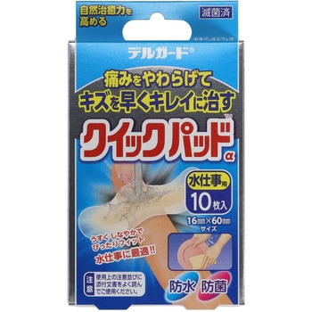 阿蘇製薬 デルガード クイックパッド - 阿蘇製薬
