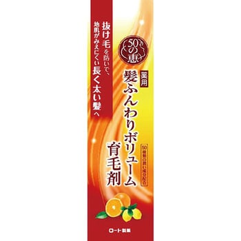 50の恵 髪ふんわりボリューム育毛剤 1個(160mL) ロート製薬 【通販