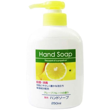 第一石鹸 薬用ハンドソープ 第一石鹸