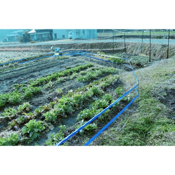 識別テープ「来るなら濃い」200m 松浦産業