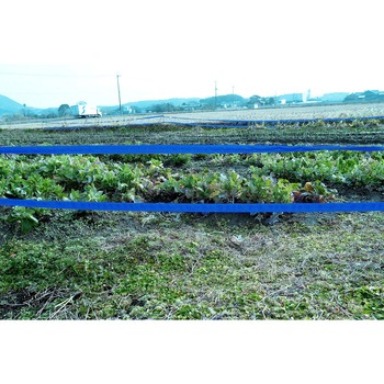 識別テープ「来るなら濃い」200m 松浦産業