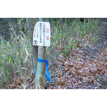識別テープ「来るなら濃い」200m 松浦産業