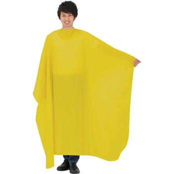 - �J�g���A No.6024 ���C�g�t�F�U�[�����O���z �J�g���A�{�� 75826233