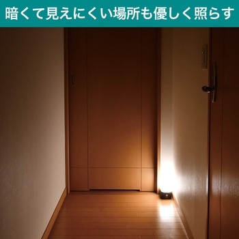 もてなしライト 据置(角) 明暗人感センサー付 白色電球色切り替え可能 乾電池式 ELPA
