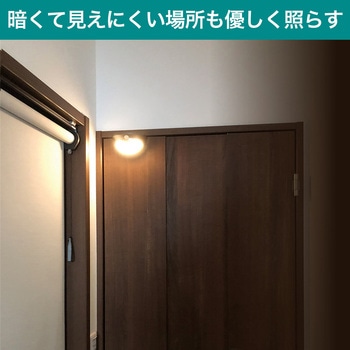 もてなしライト ドア用 明暗人感センサー付 白色電球色切り替え可能 乾電池式 ELPA