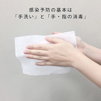 消毒ウェットタオル(本体) 日本製紙クレシア