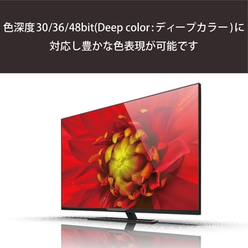 HDMIケーブル miniHDMI-HDMI 4K対応 ハイスピード RoHS エレコム