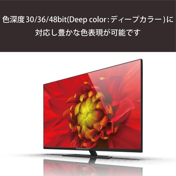 HDMIケーブル microHDMI-HDMI 4K対応 ハイスピード RoHS エレコム