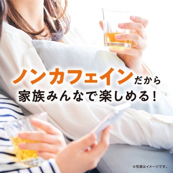 AGF ブレンディ ザリットル ルイボスティー 6本 AGF(味の素AGF