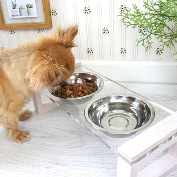 PETTO - 関家具(PETTO/ペット)