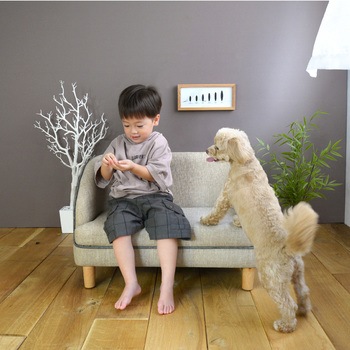 PETTO 関家具(PETTO/ペット)