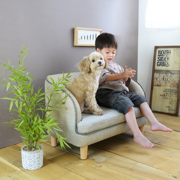 PETTO 関家具(PETTO/ペット)