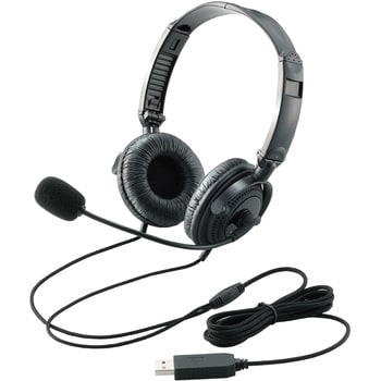 HS-HP20UBK ヘッドセット 両耳 オーバーヘッド 有線 USB接続 1.8m