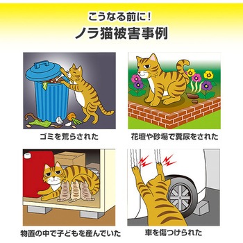 ノラ猫バイバイ メイダイ