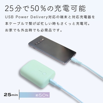 しなやかで絡まない シリコンケーブル 急速充電 データ転送対応 USB-C to USB-C MOTTERU