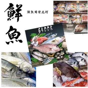 生鮮：鮮魚用 直管互換LEDランプ 光商事
