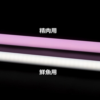 生鮮：鮮魚用 直管互換LEDランプ 光商事