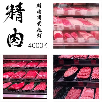 精肉用20型直管互換LEDランプ 光商事