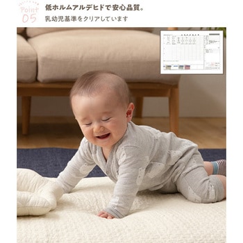 イブルシリーズ 綿100% 抱っこふとん ナイスデイ