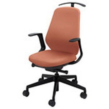 TBEB513FH-PTE ���[�N�`�F�A�[ �h�g�[�g�o�b�N�h TBE�^ �I�t�� �n�C�o�b�N�E�n���K�[�t�^�C�v �i�C�L 75960301