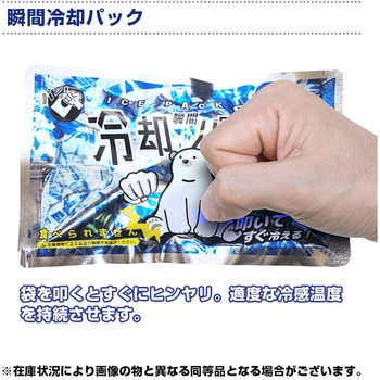 熱中対策キット(スケルトンバッグ) ブレイン