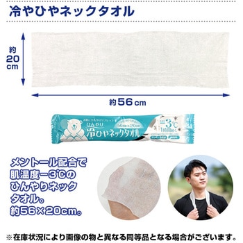 熱中対策キット(スケルトンバッグ) ブレイン