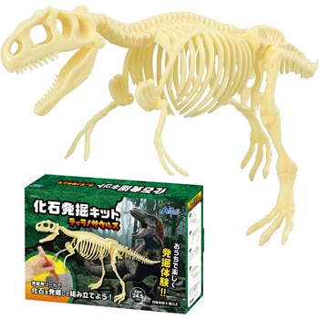 化石発掘キット ティラノサウルス アーテック[学校教材・教育玩具]