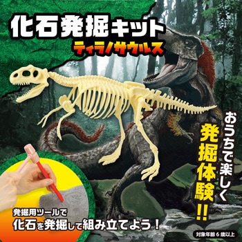 化石発掘キット ティラノサウルス アーテック[学校教材・教育玩具]