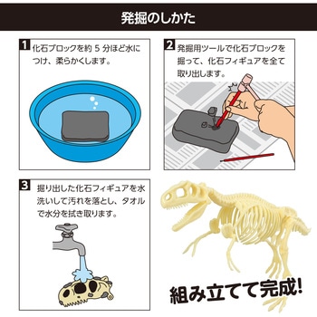 化石発掘キット ティラノサウルス アーテック[学校教材・教育玩具]