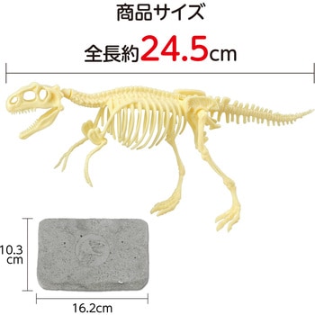 9472 化石発掘キット ティラノサウルス アーテック[学校教材
