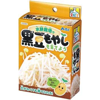 水耕栽培で育てる黒豆もやし アーテック