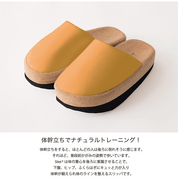 スリエット アルファックス
