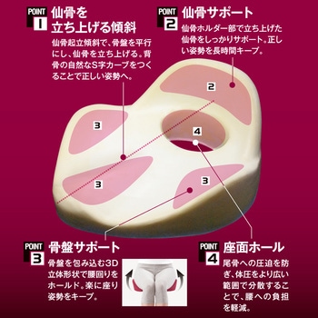 仙骨クッション 仙律 アルファックス