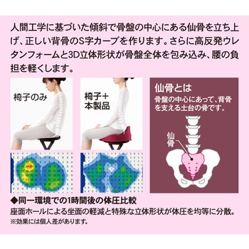 仙骨クッション 仙律 アルファックス