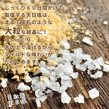 おうちBBQソルト 仁尾興産