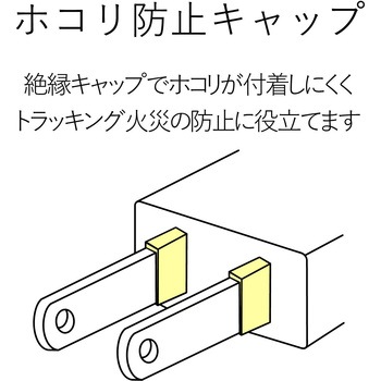 電源タップ 3P 2個口 マグネット付 固定用フック穴付 抜け防止 雷サージ防止 LED付 工事用 RoHS OAタップ エレコム