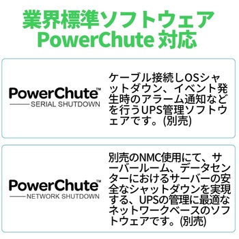 APC UPS 無停電電源装置 Smart-UPS 750VA LCD RM 1U 100V  7年保証 SMT750RMJ1U7W APC(シュナイダーエレクトリック)