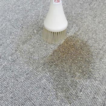 パルスブラシガン レッドサン