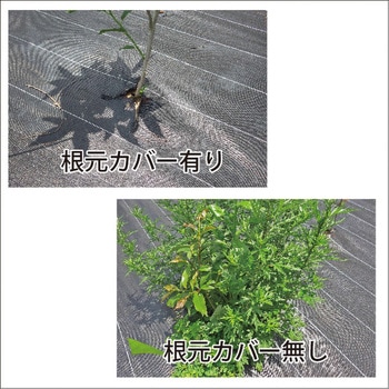 PSマルチ用根元カバー ダイトウテクノグリーン