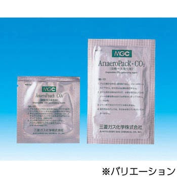アネロパック CO2 20個 スギヤマゲン