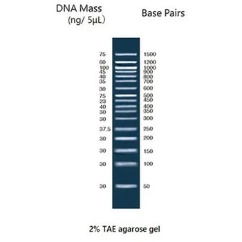 100bp DNAラダーPLUS NE-MWD100P 500μL TGK(東京硝子器械)