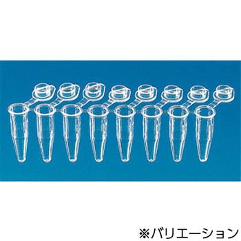 PCR8連チューブ フラットCAP 0.2mL 120連入 - BRAND