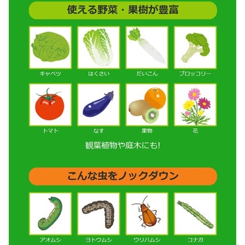 ベニカAスプレー KINCHO園芸