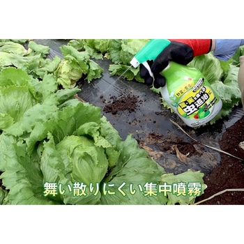 ベニカAスプレー KINCHO園芸