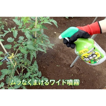 ベニカAスプレー KINCHO園芸