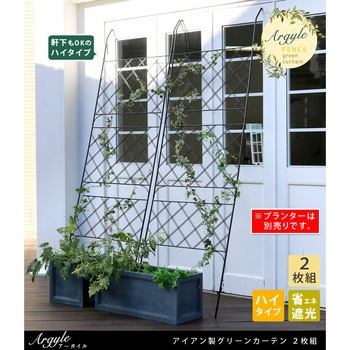 アイアン製グリーンカーテン アーガイル 住まいスタイル