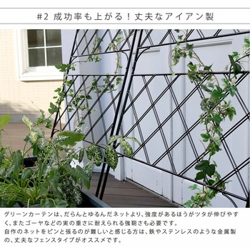 アイアン製グリーンカーテン アーガイル 住まいスタイル