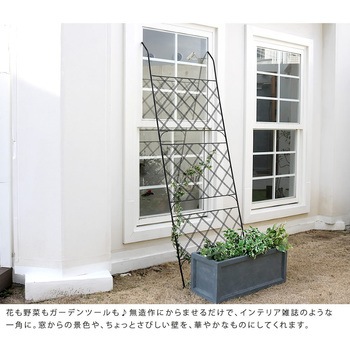 アイアン製グリーンカーテン アーガイル 住まいスタイル