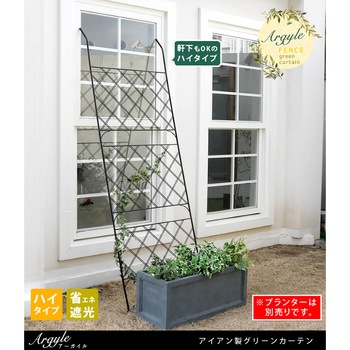 アイアン製グリーンカーテン アーガイル 住まいスタイル