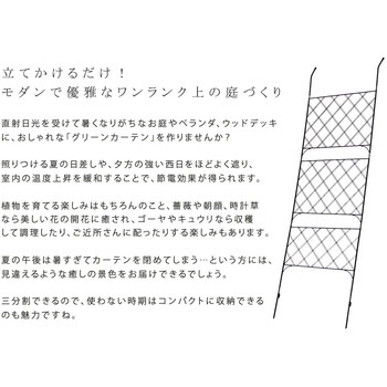 アイアン製グリーンカーテン アーガイル 住まいスタイル